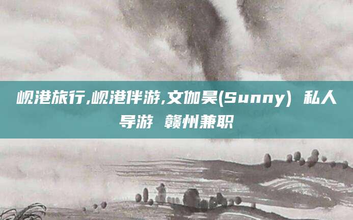 南充岘港旅行,岘港伴游,文伽昊(Sunny) 私人导游 赣州兼职