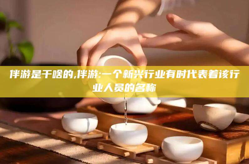 南充伴游是干啥的,伴游:一个新兴行业有时代表着该行业人员的名称