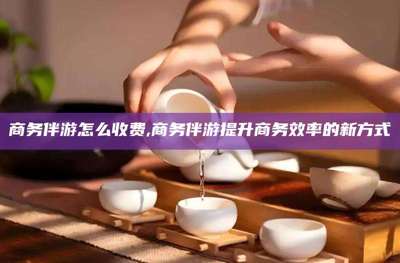 南充商务伴游怎么收费,商务伴游提升商务效率的新方式