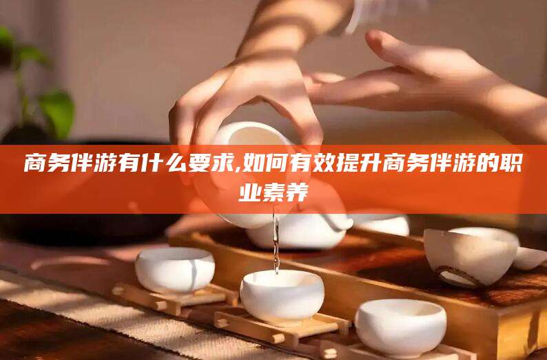 南充商务伴游有什么要求,如何有效提升商务伴游的职业素养