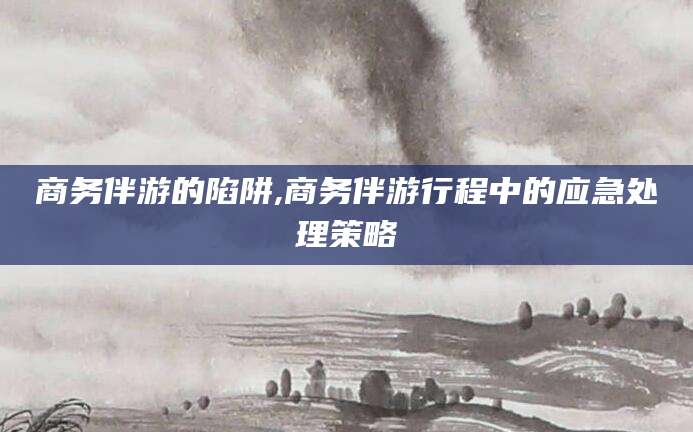 南充商务伴游的陷阱,商务伴游行程中的应急处理策略